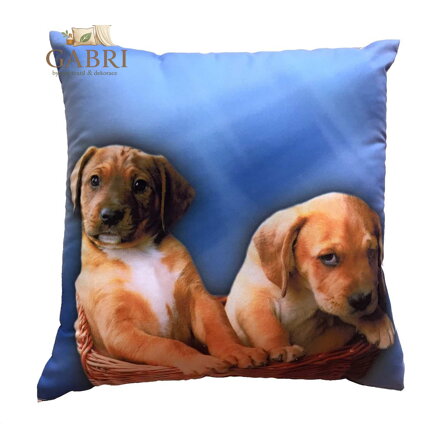 Dadka Fotopolštářek Dvě štěňata na modrém 40x40 cm