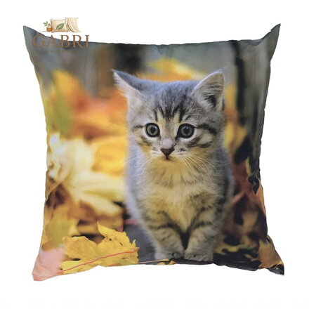 Dadka Fotopolštářek Kotě s listím 40x40 cm