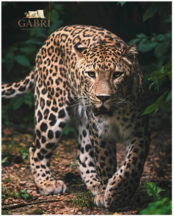 Jerry Fabrics Mikroflanelová dětská deka Leopard green 120x150 cm