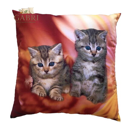 Dadka Fotopolštářek Koťata v ohni 40x40 cm