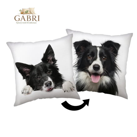 Jerry Fabrics Polštářek Border Kolie 40x40 cm