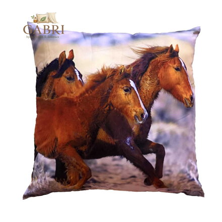 Dadka Fotopolštářek Tři koně 40x40 cm