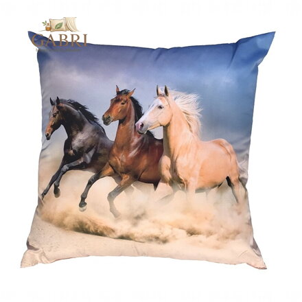 Dadka Fotopolštářek Koně na poušti 40x40 cm