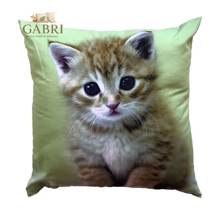 Dadka Fotopolštářek Kotě na zeleném 40x40 cm