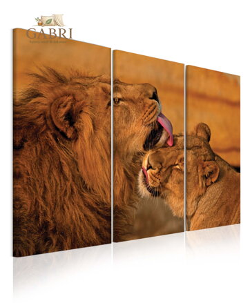 Vícedílný obraz - Červený tulipán