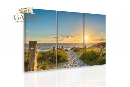 Vícedílný obraz - Orchidej na hladině