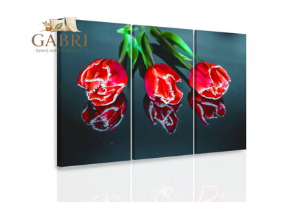 Vícedílný obraz - Pěšinka na pláži