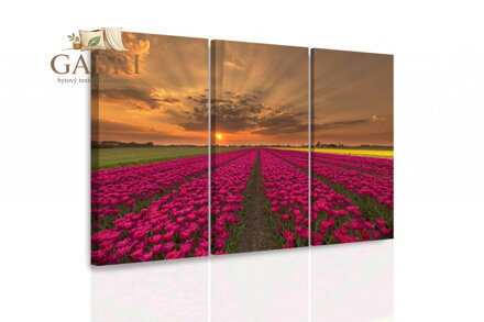 Vícedílný obraz - Spící liška