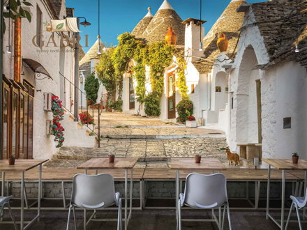 Tapeta Růže barevné