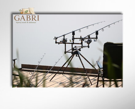 Obraz Pestrý tulipán