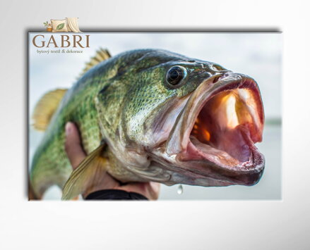 Obraz Akvarelové květiny a tvary