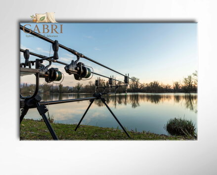 Obraz Stylizovaná sakura