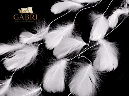 Peří na šňůrce / girlanda