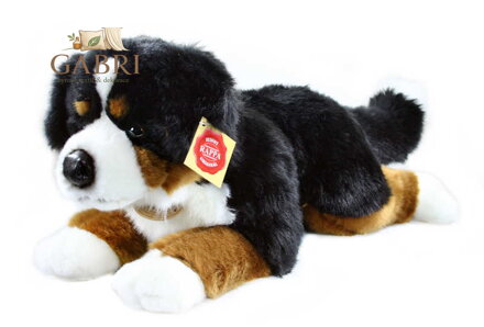 PLYŠ Pes salašnický bernský 40cm pejsek salašník *PLYŠOVÉ HRAČKY*