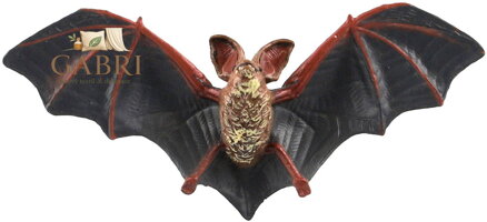 Netopýr velkouchý 11cm zvířátko plastová figurka Zooted