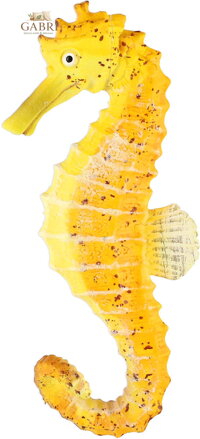 Mořský koník 8cm zvířátko plastová figurka Zooted