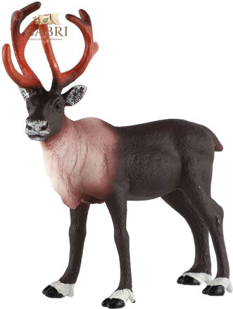 Sob polární 15cm zvířátko plastová figurka Zooted