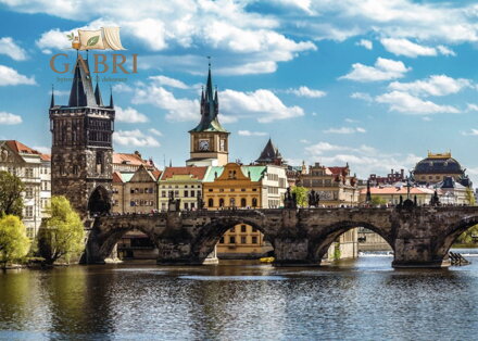 RAVENSBURGER Puzzle Pohled na Karlův most, Praha 1000 dílků