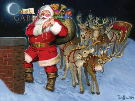 COBBLE HILL Puzzle Na střeše 1000 dílků