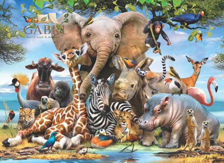 ANATOLIAN Puzzle Africký úsměv 1000 dílků