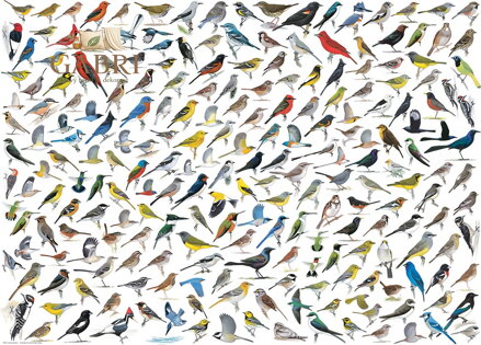 EUROGRAPHICS Puzzle Svět ptáků 1000 dílků