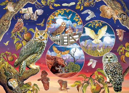 COBBLE HILL Puzzle Soví kouzla 1000 dílků