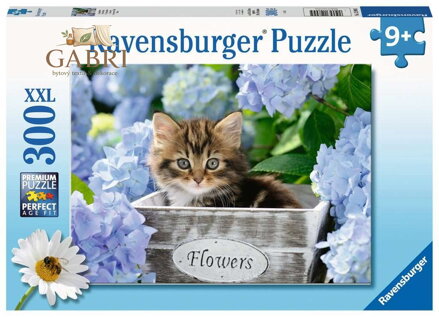 RAVENSBURGER Puzzle Malé kotě XXL 300 dílků