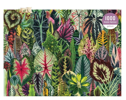 GALISON Puzzle Džungle pokojových rostlin 1000 dílků