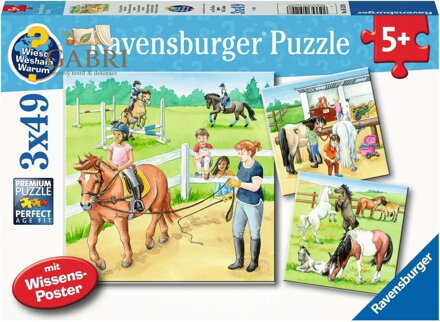 RAVENSBURGER Puzzle Den u koní 3x49 dílků
