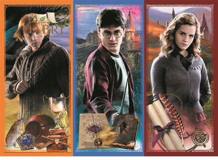 TREFL Puzzle Harry Potter: Ve světě magie a kouzel 200 dílků