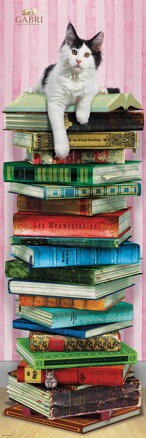 EUROGRAPHICS Vertikální puzzle Akademická kočka 1000 dílků