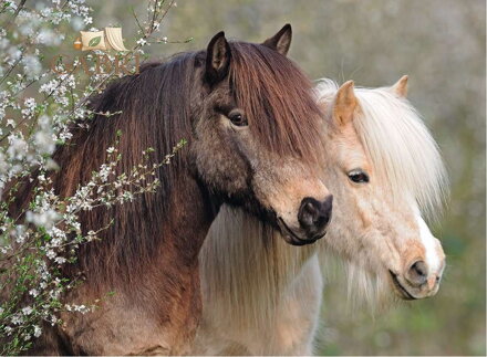 RAVENSBURGER Puzzle Krásní koně XXL 150 dílků