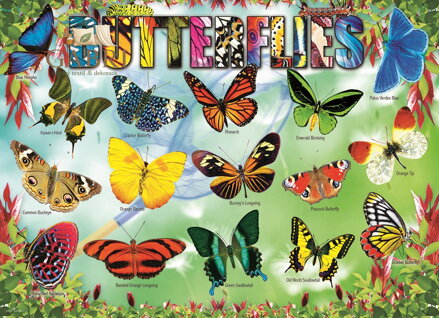 EUROGRAPHICS Puzzle Zahradní motýli 100 dílků