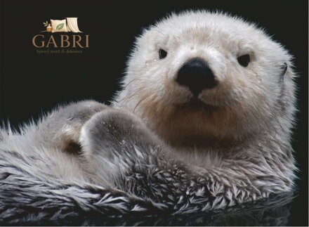 RAVENSBURGER Puzzle Roztomilá malá vydra 500 dílků