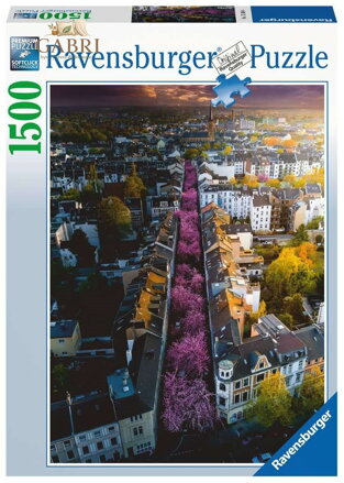 RAVENSBURGER Puzzle Rozkvetlý Bonn 1500 dílků
