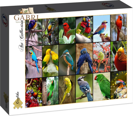 GRAFIKA Puzzle Nejkrásnější ptáci světa 1500 dílků