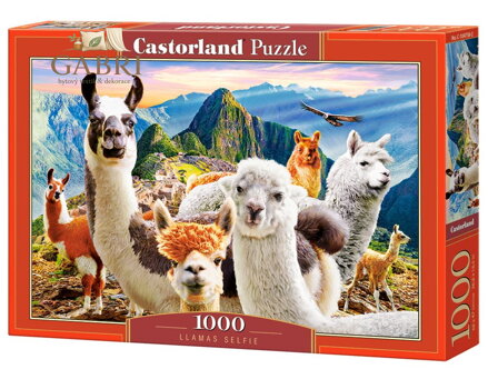 CASTORLAND Puzzle Selfie lam na Macchu Picchu 1000 dílků
