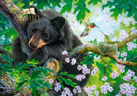 CASTORLAND Puzzle Kéž bych mohl létat 500 dílků