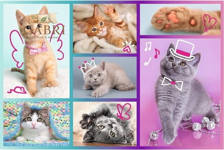 TREFL Puzzle Roztomilá koťátka 60 dílků