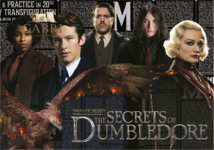 EDUCA Puzzle Fantastická zvířata: Brumbálova tajemství 1000 dílků