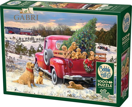COBBLE HILL Puzzle Rodinný výlet 1000 dílků