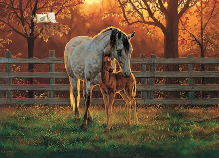 COBBLE HILL Puzzle Čas ticha 500 dílků