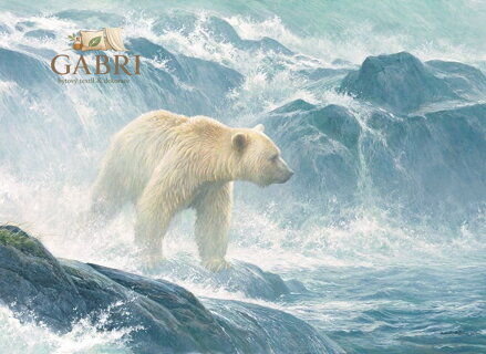 COBBLE HILL Puzzle Lovení lososů - Medvědí duch 500 dílků