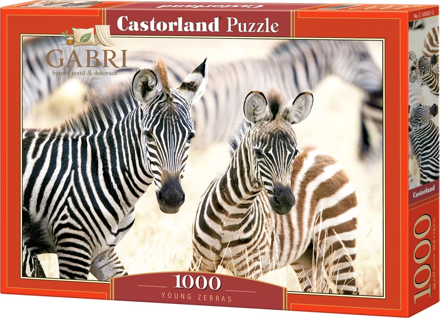 CASTORLAND Puzzle Mladé zebry 1000 dílků
