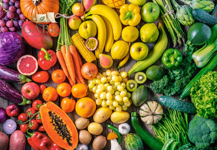 CASTORLAND Puzzle Vitamínová duha 1500 dílků