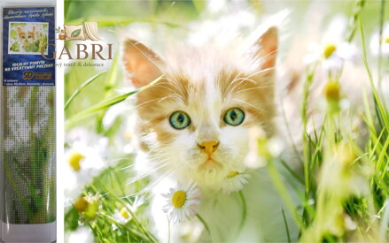 Norimpex Diamantové malování Kotě mezi sedmikráskami 30x40cm