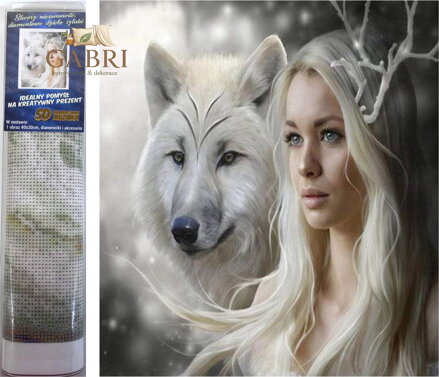 Norimpex Diamantové malování Královna ledových plání 30x40cm