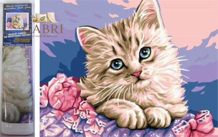 Norimpex Diamantové malování Kočičí pohled 30x40cm