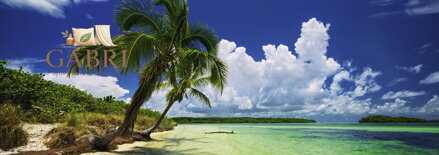 HEYE Panoramatické puzzle Palmový ráj 2000 dílků