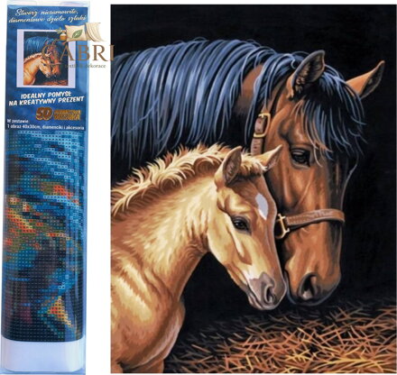 Norimpex Diamantové malování Klisna s hříbětem 30x40cm